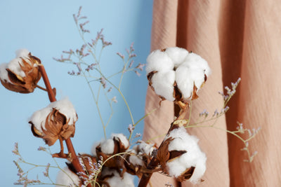 best luxury baby brands comparison 