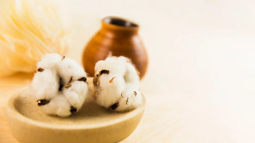what is supima cotton - difference between pima and supima