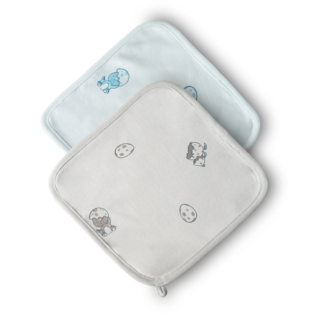 Dinosaur Baby Washcloth