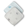 Dinosaur Baby Washcloth