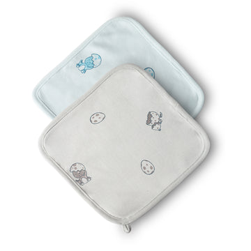 Dinosaur Baby Washcloth