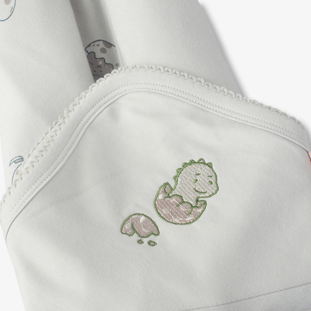 Dino Baby Blanket