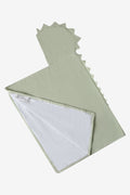 Pima Green Baby Hooded Towel
