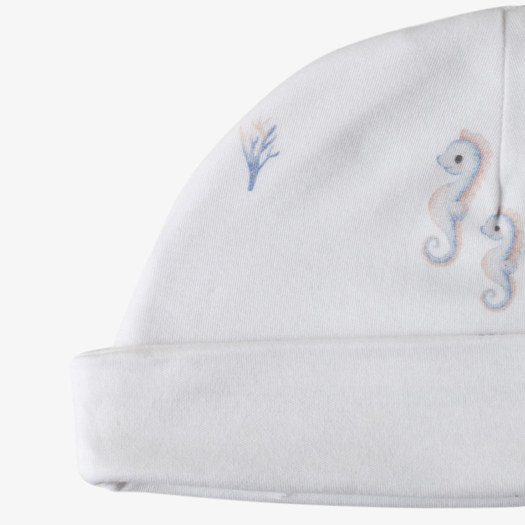 Shark Baby Hat